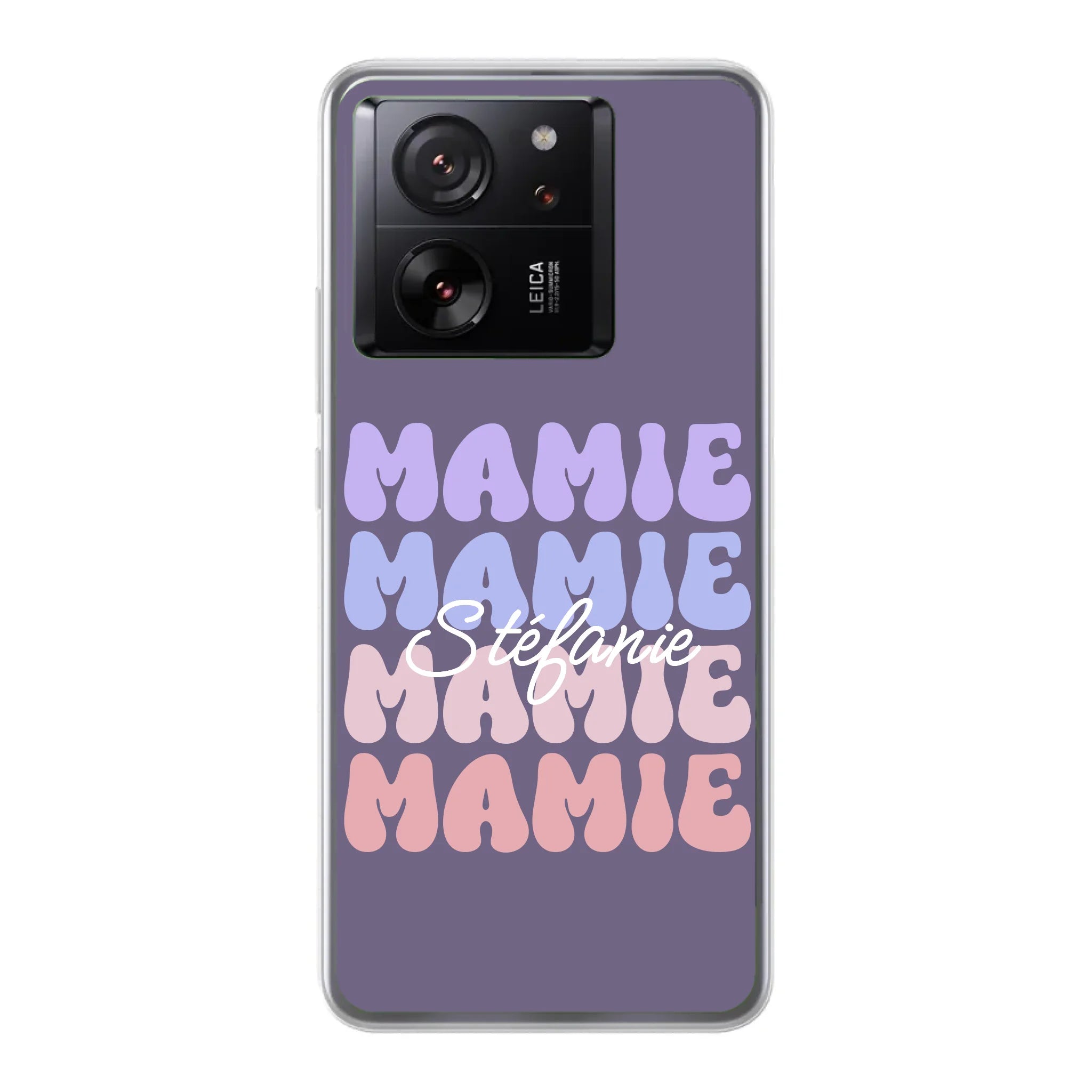 Xiaomi 13T_13T Pro